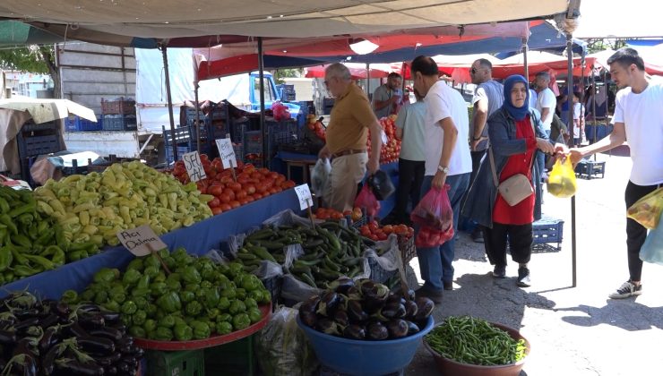 Elazığ’da Sebzede Bolluk, Meyvede Fiyatlar Yüksek
