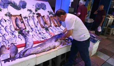 40 kiloluk yayın balığını görenler ’Canavar gibi’ diyor