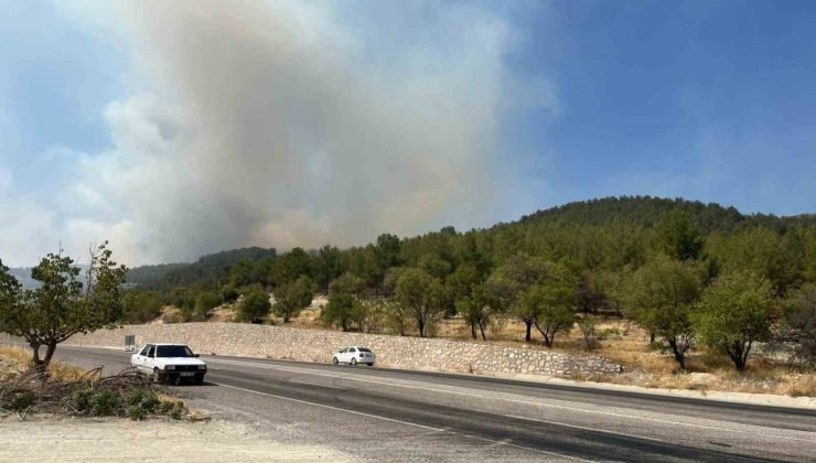 Adıyaman’da orman yangını