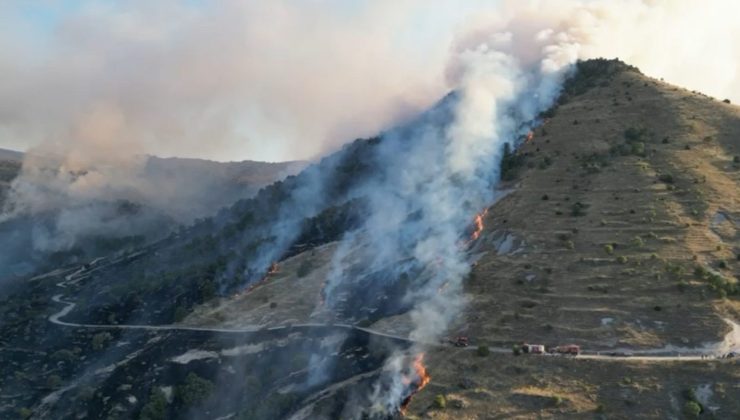 Afyonkarahisar’da çıkan orman yangını söndürüldü