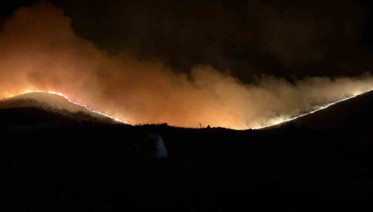Afyonkarahisar’daki orman yangınına müdahale sürüyor