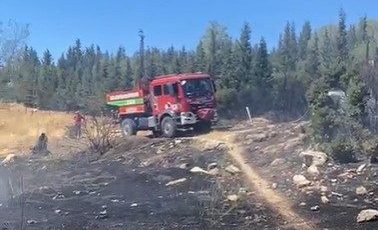 Aliağa’da ormanlık alanda çıkan yangın hızlı müdahale ile söndürüldü
