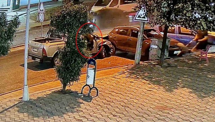 Alkollü sürücü 4 araca çarparak durabildi: Köpeği can havliyle camdan fırladı