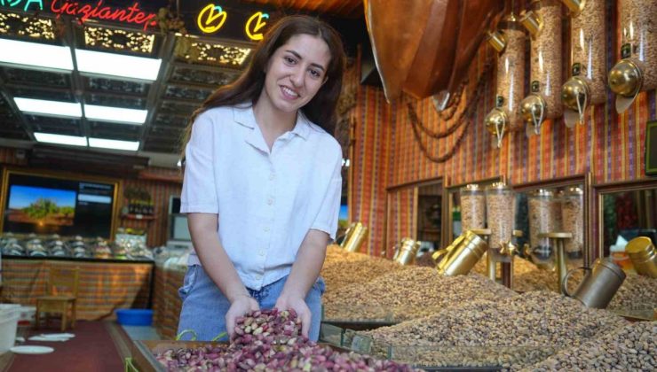 Antep fıstığının kilosu 500 TL oldu
