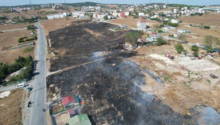 Arnavutköy’de çayırlık alanda yangın paniği