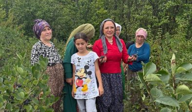 Aronya Akçaabat’tan dünyaya açılıyor