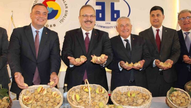 Aydın’da sezonun ilk kuru inciri 800 liradan satıldı