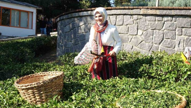 Bakan Göktaş: “Aile bizim istikbalimiz”