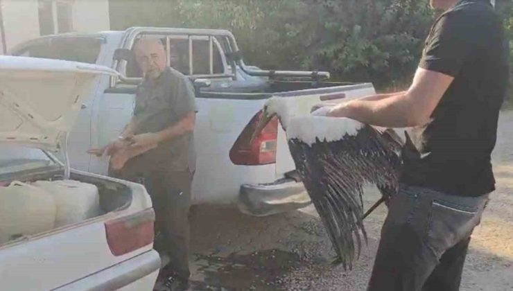 Balçığa saplanan leyleğin imdadına balıkçılar yetişti