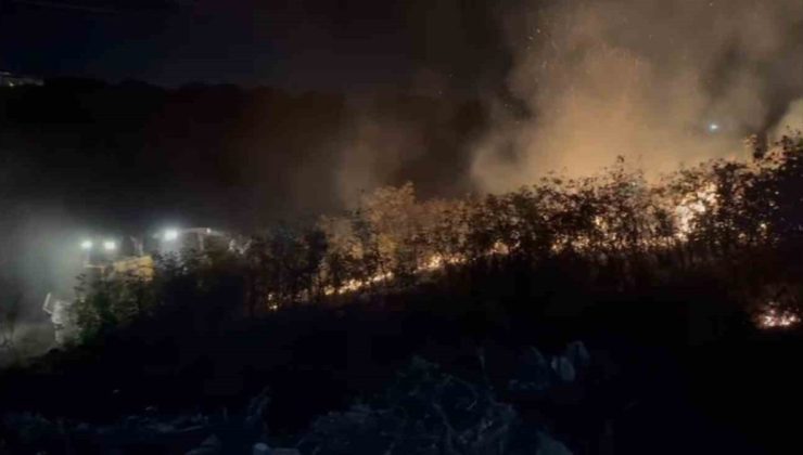Balıkesir’de alevler geceyi aydınlattı