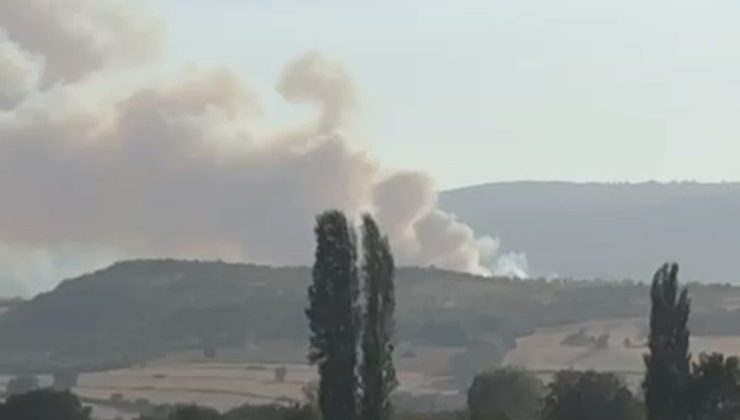 Balıkesir’de orman yangını