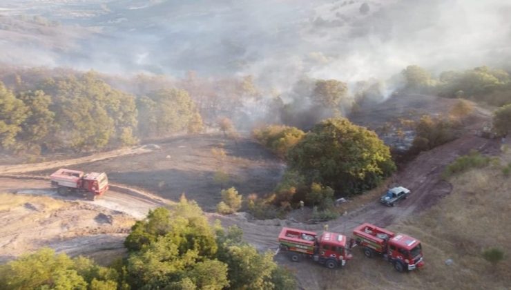 Balıkesir’deki orman yangını kontrol altına alındı