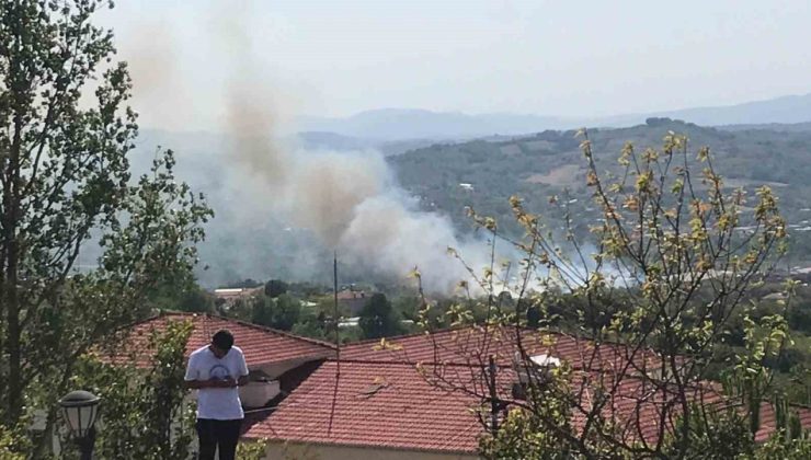 Bartın’da peş peşe yangınlar çıktı