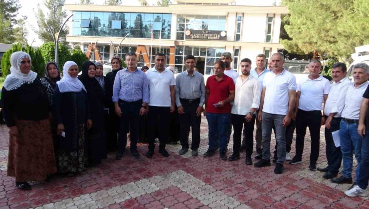 Batmanlı iş adamından örnek davranış: 10 aileye geçimlerini sağlamaları için inek bağışladı