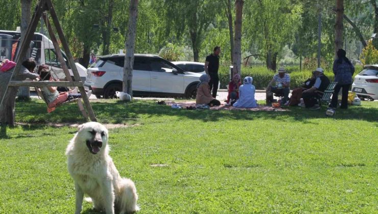 Bayburt’ta hafta sonu mesire alanları piknikçilerle doldu