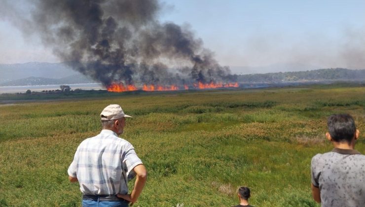 Beyşehir’de sazlık alanda çıkan yangın havadan müdahale ile söndürüldü