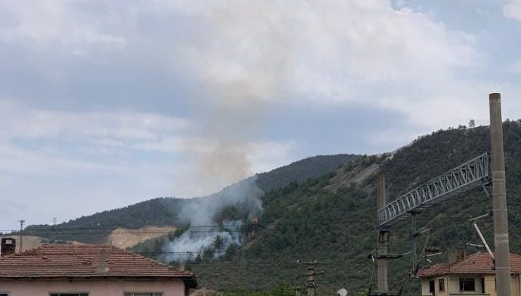 Bilecik’te orman yangını