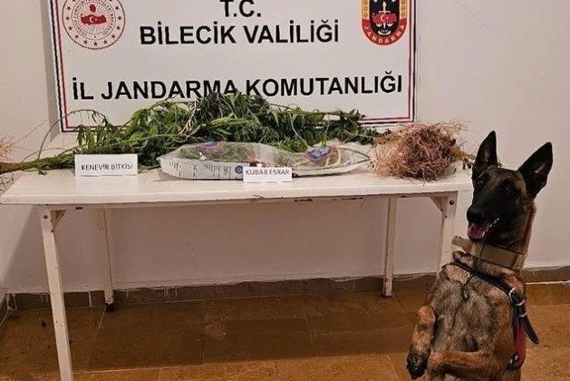 Bilecik’te uyuşturucu operasyonu
