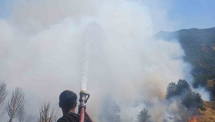 Bingöl’de kırsal alanda çıkan yangın söndürüldü