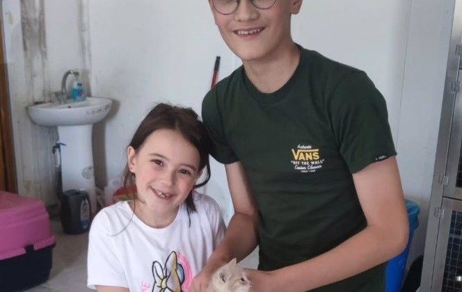 Bolu’da 10 sahipsiz sokak hayvanı yeni yuvasına kavuştu
