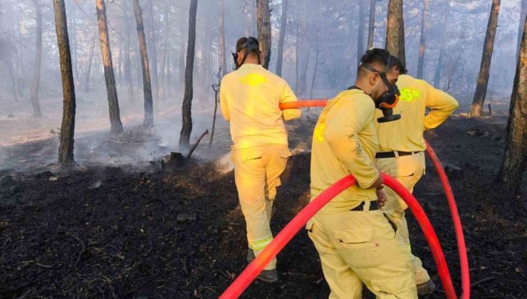 Bolu’da küle dönen 20 hektar ormanda, soğutma çalışması sürüyor