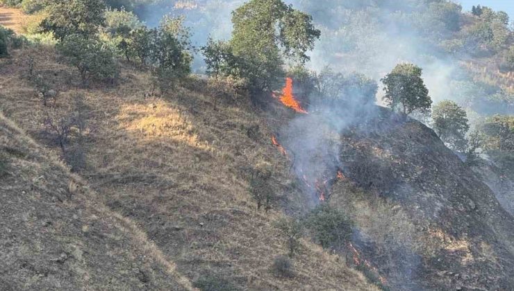 Buharkent’te orman yangını