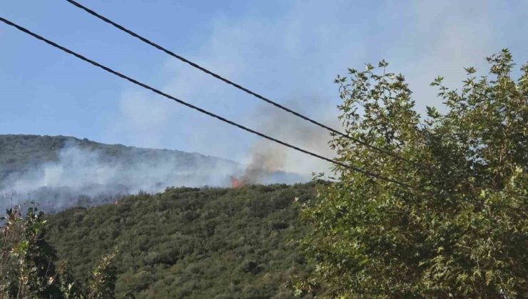 Bursa’daki orman yangını kontrol altına alındı