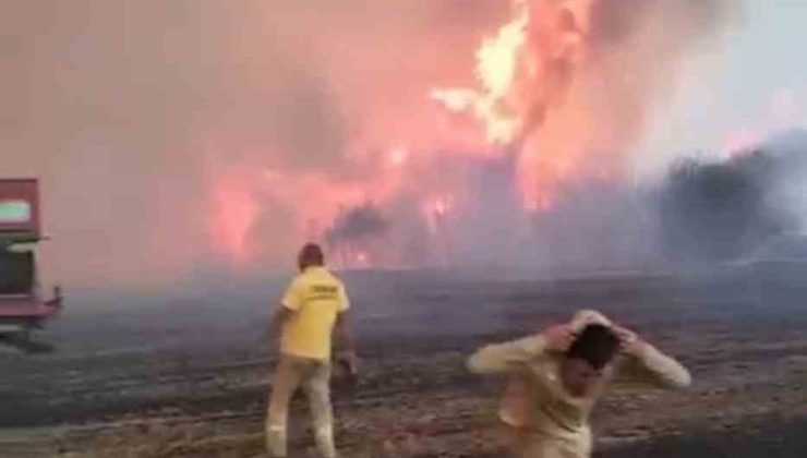 Çanakkale’de alev savaşçılarının zorlu mücadelesi kamerada