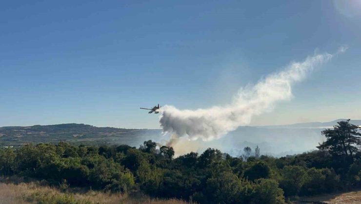 Çanakkale’de tarım arazisinde başlayarak ormanlık alana sıçrayan yangın kontrol altına alındı