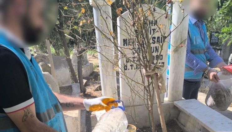Cizre’de denetimli serbestlik yükümlüleri şehit kabirlerini temizledi