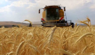ÇKS başvuruları 1 Eylül’de başlıyor