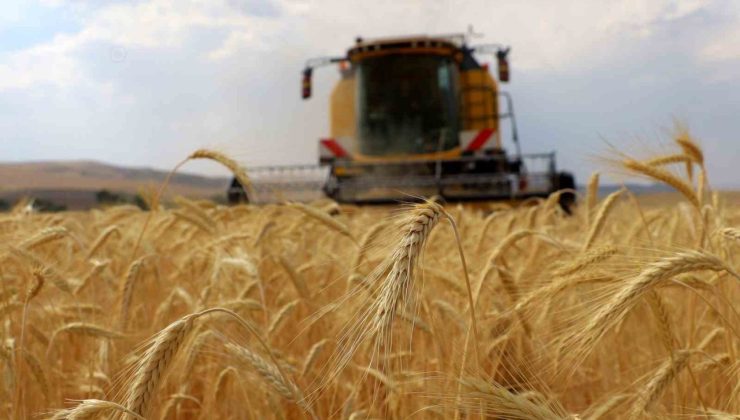 ÇKS başvuruları 1 Eylül’de başlıyor