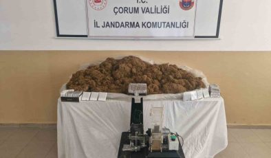 Çorum’da binlerce makaran ele geçirildi