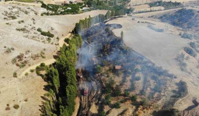 Çorum’da tarlada çıkan yangın kontrol altına alındı, 1 kişi yaralandı