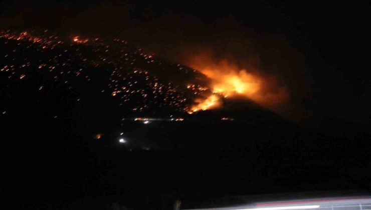 Denizli’de orman yangınına gece karadan müdahale sürüyor