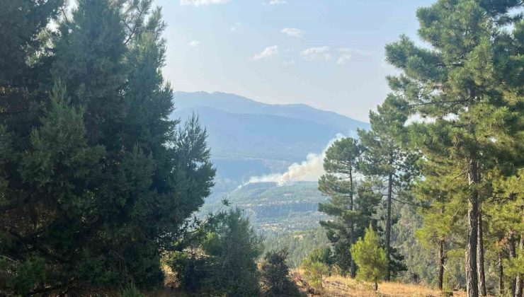 Denizli’de sarp bölgede devam eden yangına müdahale ediliyor