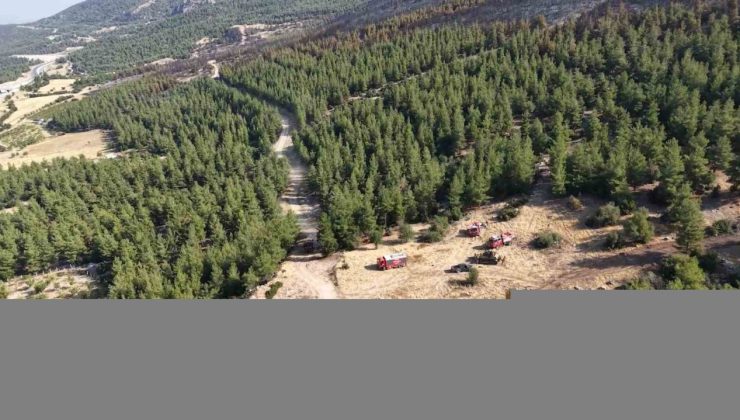 Denizli’de yanan orman sahası havadan görüntülendi