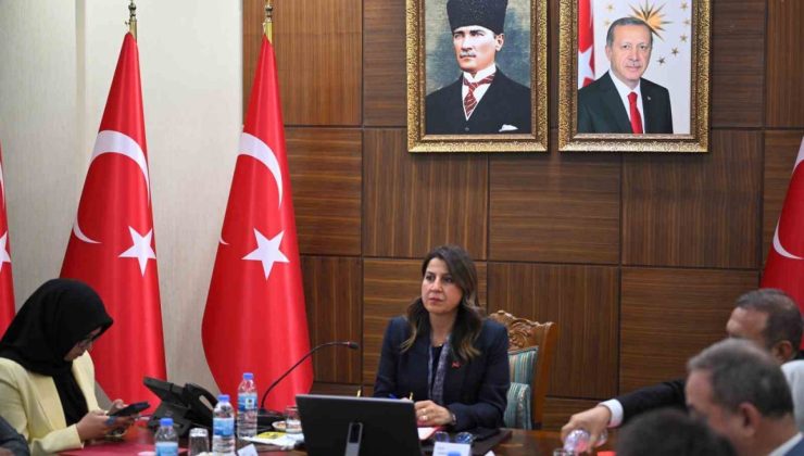 Diyarbakır’da, kadın hizmetleri bölgesel istişare toplantısı yapıldı