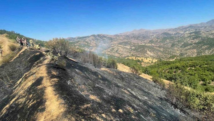 Diyarbakır’da üç farklı noktada çıkan yangınlar kontrol altına alındı