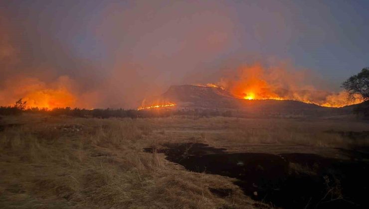 Diyarbakır’ın 3 ilçesinde etkili olan yangına müdahale devam ediyor
