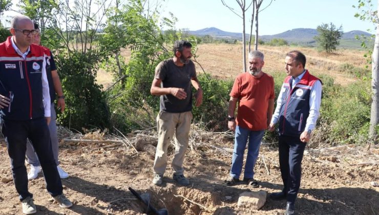Edirne’de sera yatırımlarıyla tarımsal üretim kapasitesi artırılıyor