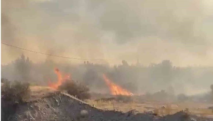 Elazığ’da örtü yangını söndürüldü