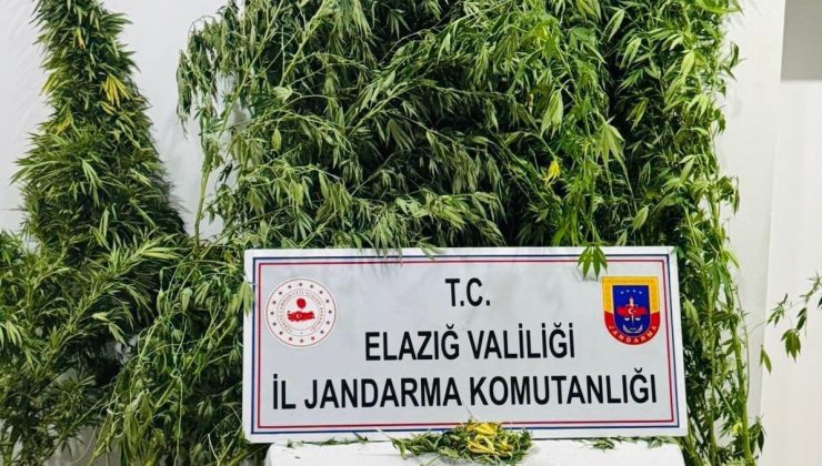 Elazığ’da uyuşturucuyla mücadele