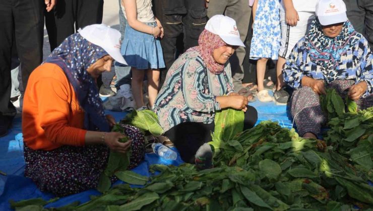 Ellerindeki iğnelerle ödülü alabilmek tütünleri dizmek için kıyasıya yarıştılar