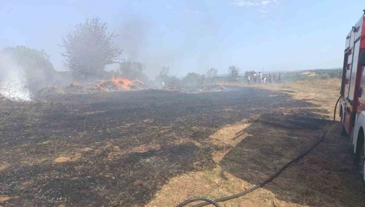 Erdek’te zeytinlik ve otluk alanda çıkan yangın söndürüldü