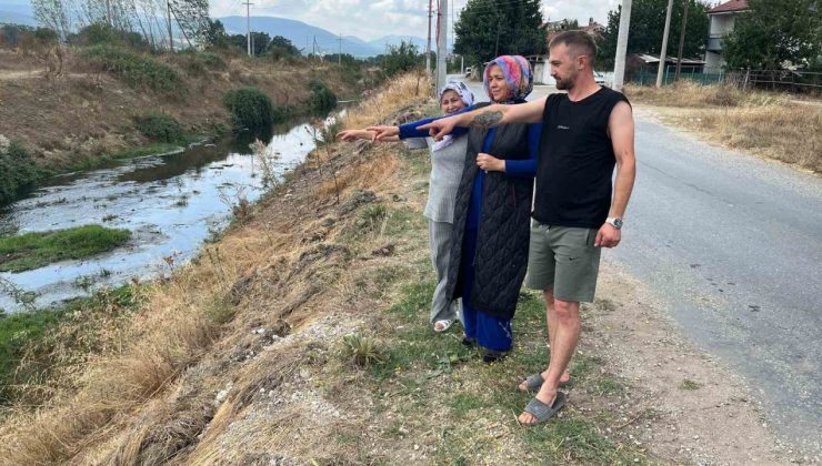 Erpiliç’in pisliği, hamile kadını hastanelik etti