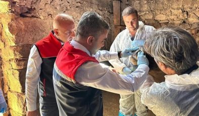 Erzurum’da hastalık takibi kararlılıkla devam ediyor