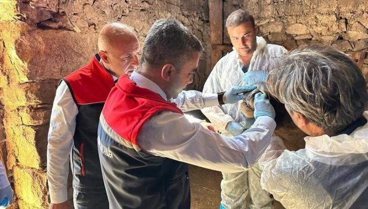 Erzurum’da hastalık takibi kararlılıkla devam ediyor