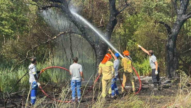 Fethiye Akmaz Plajı’nda çıkan yangın kontrol altına alındı