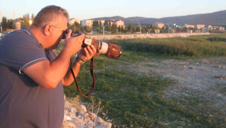 Fotoğraf tutkunu mali müşavir, kuş fotoğrafı için makinesini yanından ayırmıyor